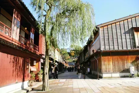 Kanazawa's geisha district invites you to take a timeless stroll, among its alleys and ancient buildings.